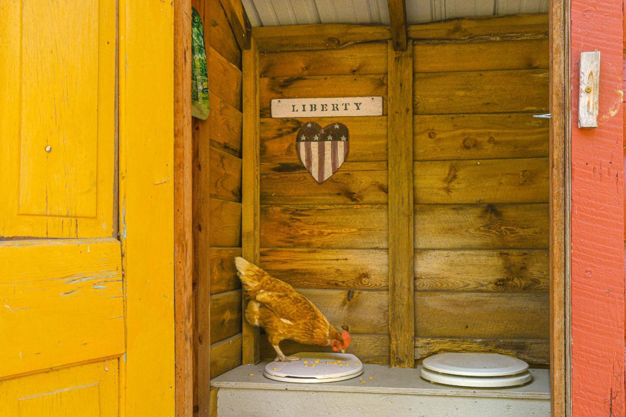 Historic Keystone Cabin Near Mount Rushmore! エクステリア 写真