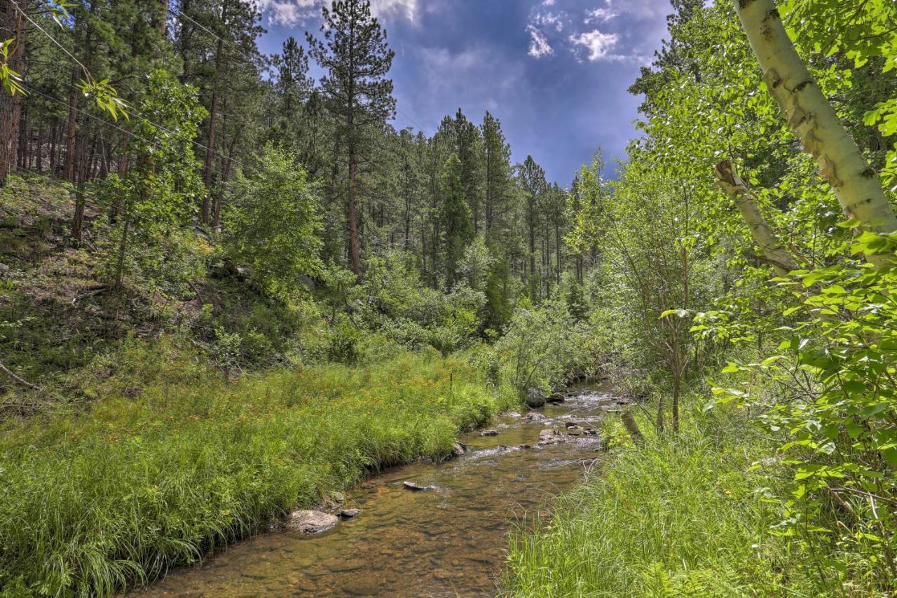 Historic Keystone Cabin Near Mount Rushmore! エクステリア 写真
