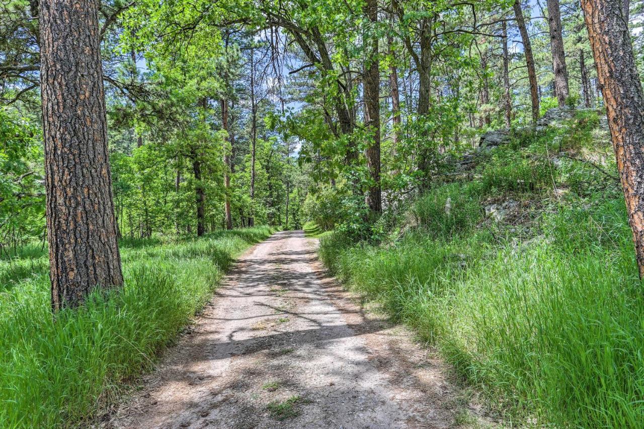 Historic Keystone Cabin Near Mount Rushmore! エクステリア 写真